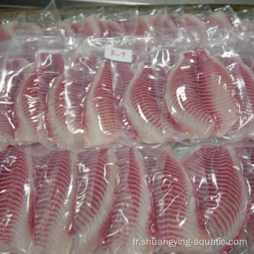 Filet de poisson tilapia congelé avec pack d&#39;aspirateur